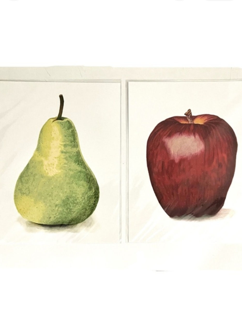 Fruit Art Print Set - Green Pear and Red Apple Illustrations